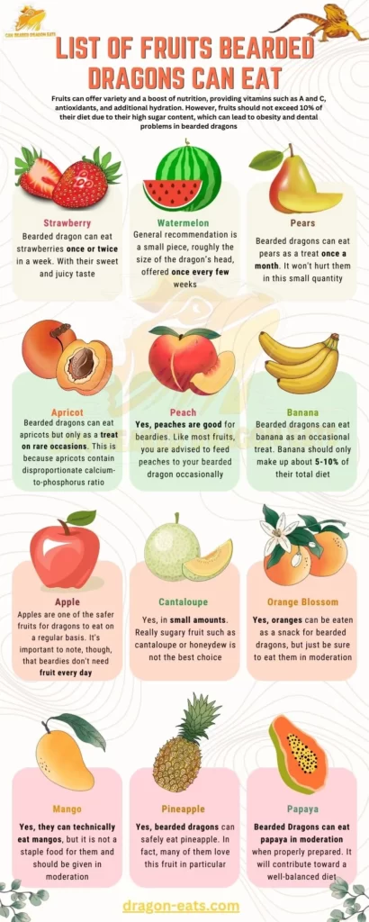 Can Bearded Dragons Eat Fruits infograpic