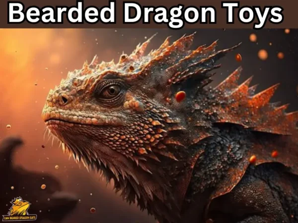 Bearded dragon toys