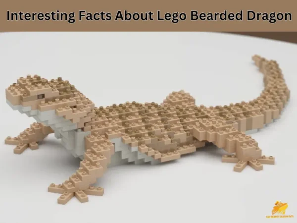 lego bearded dragon