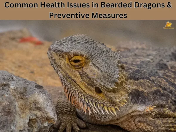 health issues in bearded dragon