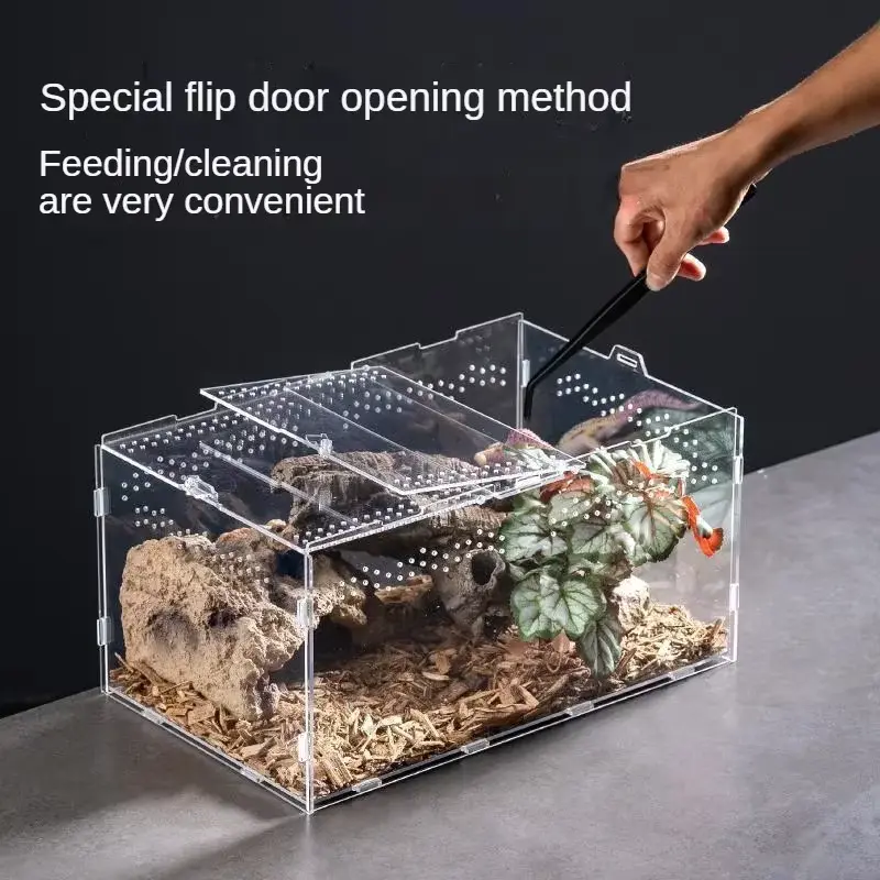 Reptile Habitat Terrarium-Breeding Box Acrylic Case-Nano Arboreal-Tarantula Enclosure-Spider Scorpion Bearded Dragon-Habitat