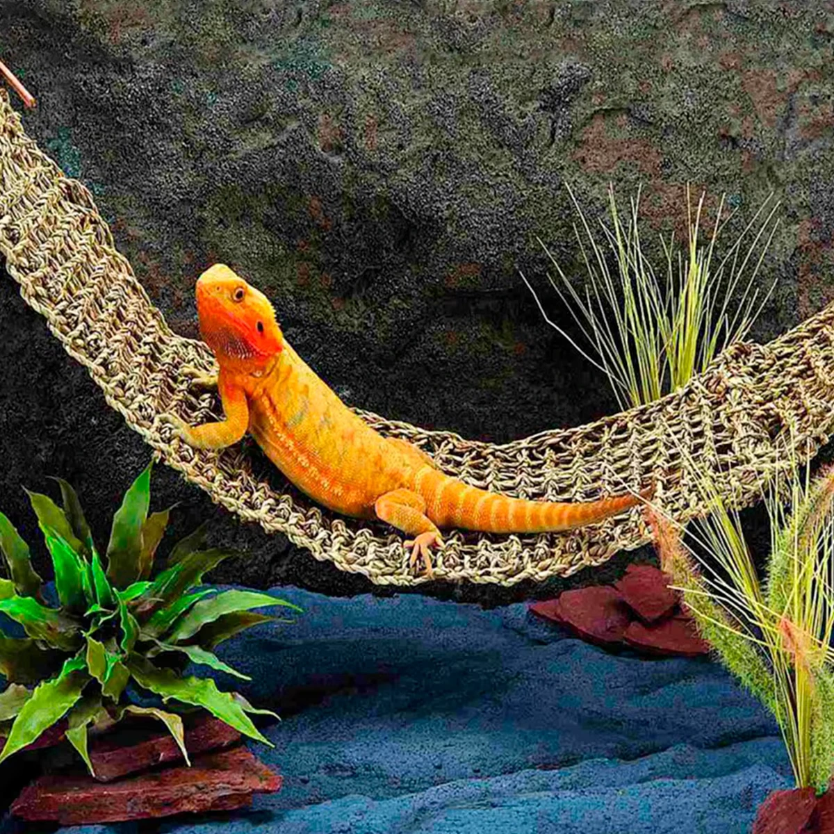 Reptile Hammock Terrarium Decoration For Lizard Lounger Reptile Mats